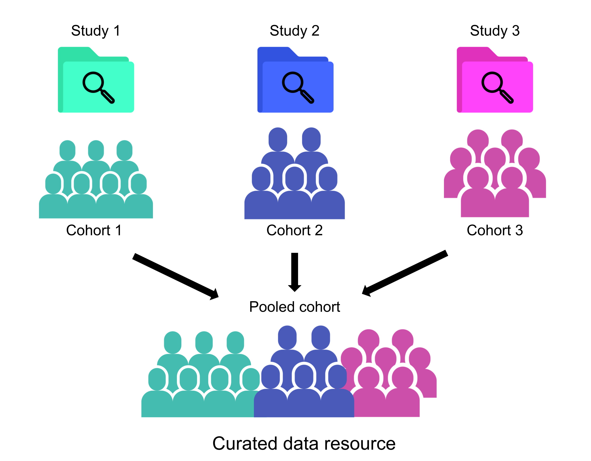 Each separate study has its own cohort. Within a curated data resource or data collection, the cohorts from each study are pooled together.