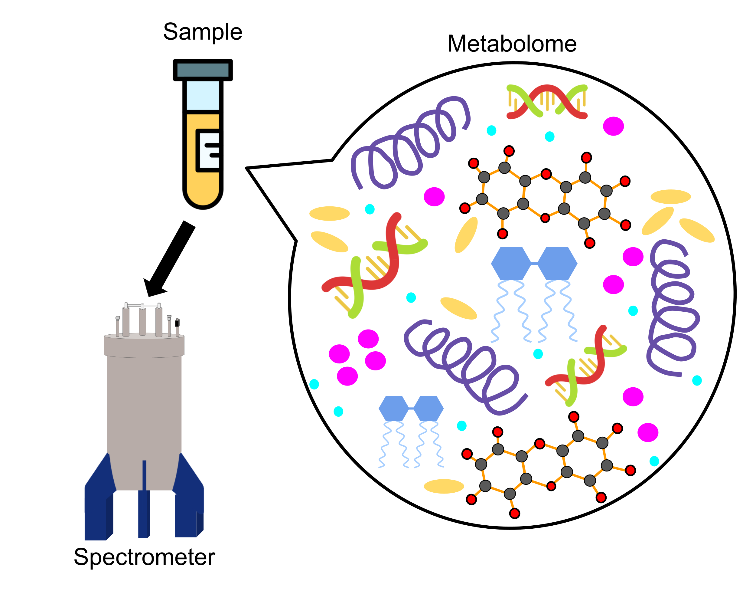 Cartoon showing the metabolome is a collection of low-molecular weight molecules within a sample. Because of how small the molecules are, the sample is processed with a spectrometer.