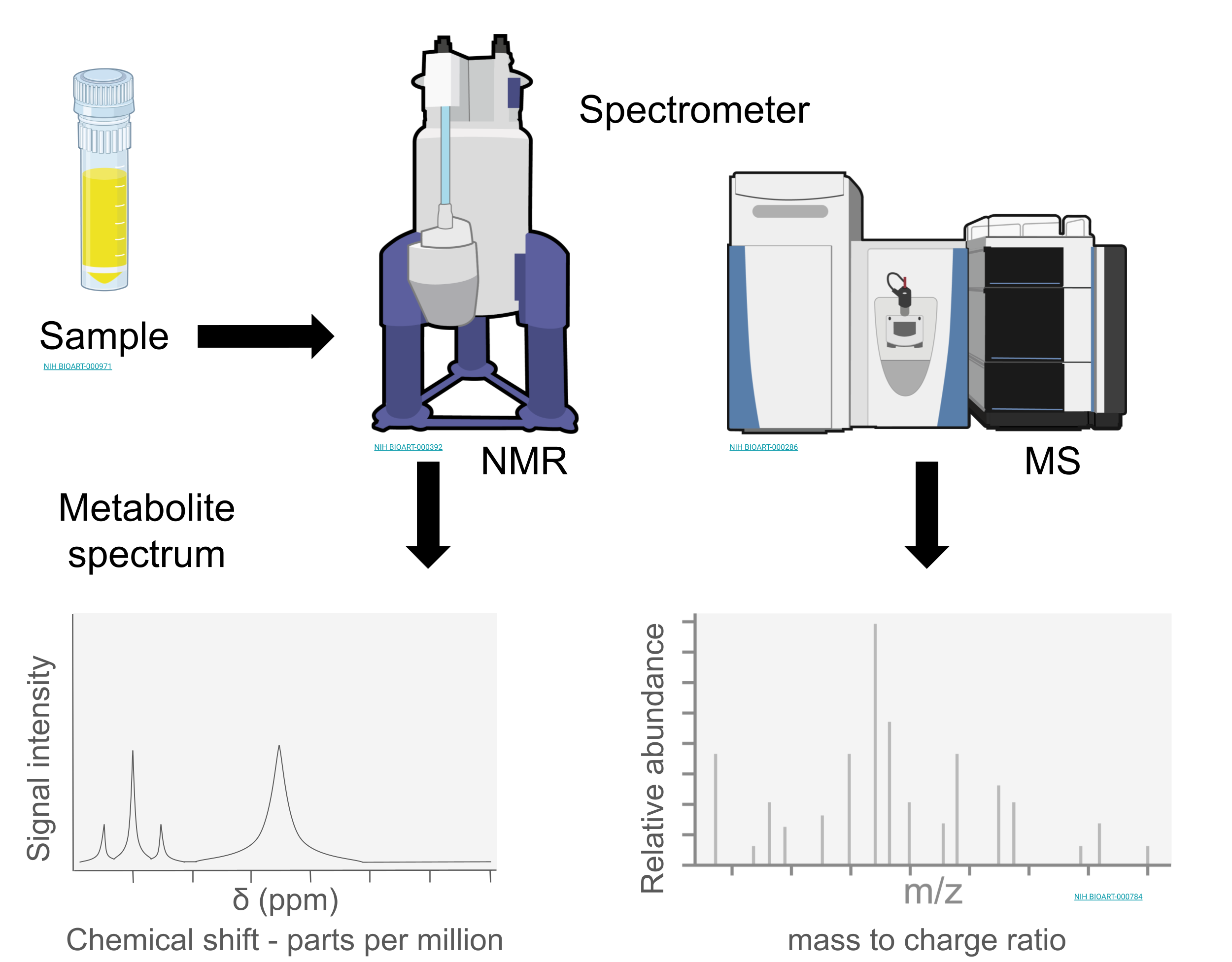 Cartoon showing a sample being processed with a spectrometer such as NMR or MS and the resulting spectra you might expect. From NMR, the spectrum will plot the chemical shift typically measured in parts per million on the x-axis versus the signal intensity on the y-axis. From MS, the spectrum will plot the mass to charge ratio on the x-axis versus the relative abundance on the y-axis.