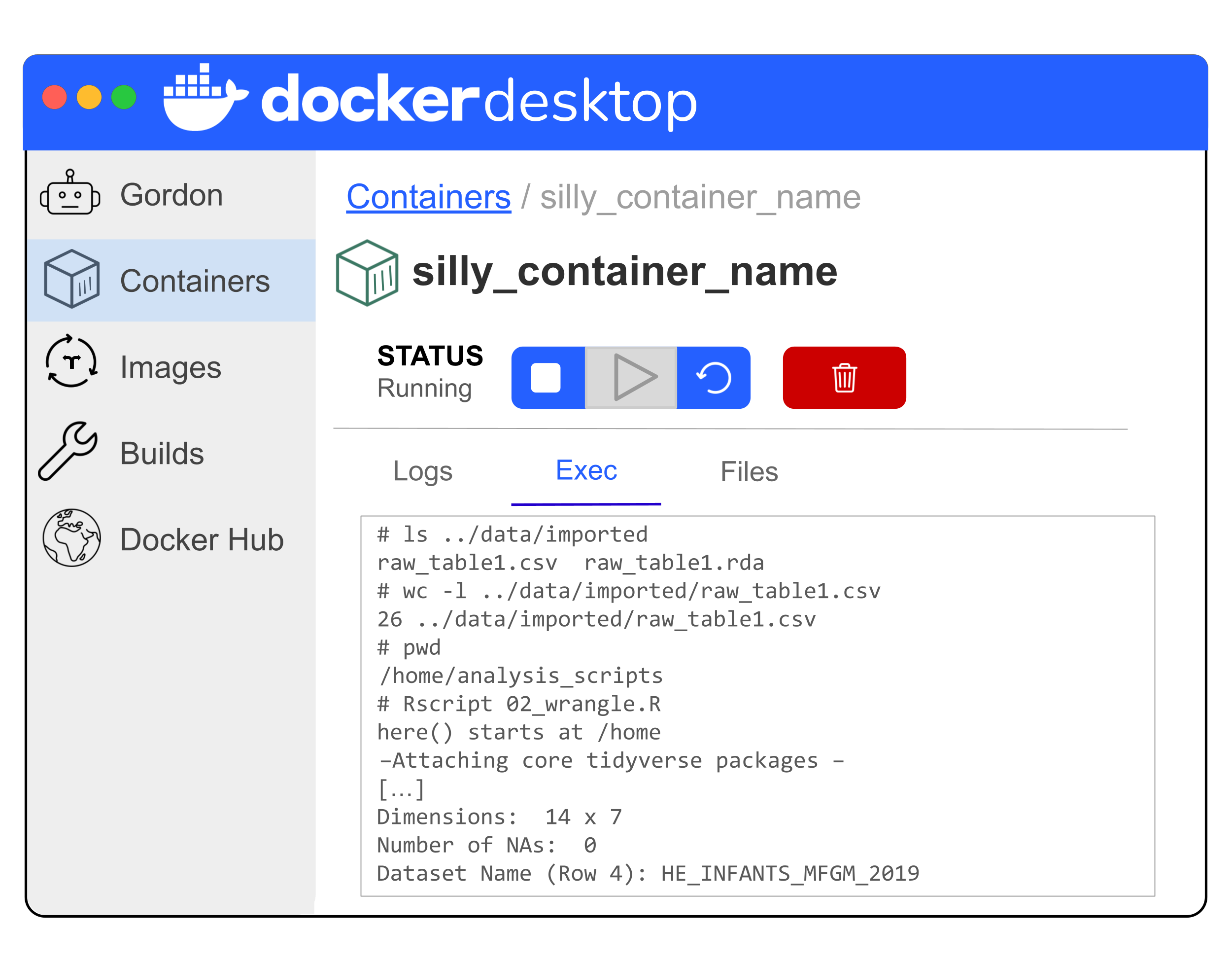Simplified illustration of Docker Desktop showing the commands for running the wrangling script and the output. Note there are messages from loading tidyverse that are not shown in full. Specifically the output shows that the dimensions of the data frame are 14 rows and 7 columns. There are 0 NAs and the name of the dataset in row 4 is HE_INFANTS_MFGM_2019.