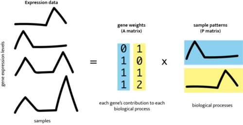 Schematic from the CoGAPS User Guide showing an input matrix represented by pattern matrices and corresponding pattern profiles.