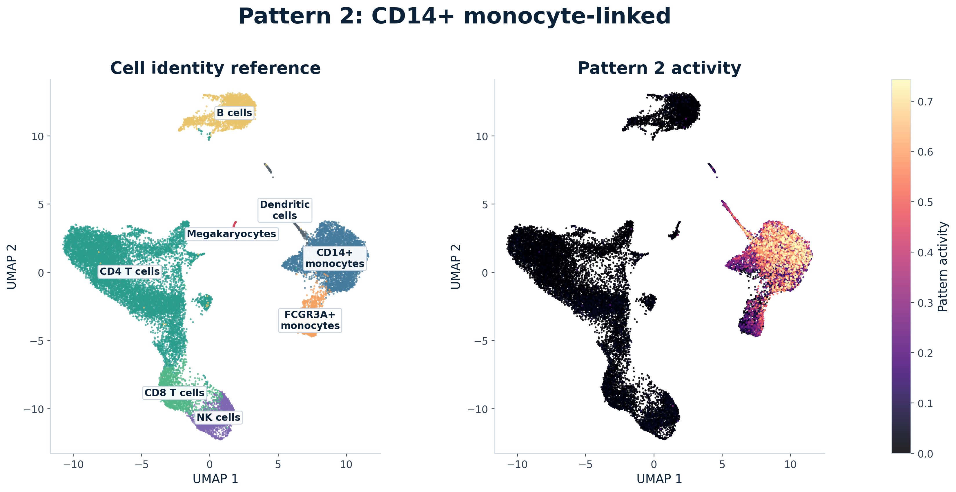Paired UMAP comparison for Pattern 2, labeled as a CD14 positive monocyte-linked pattern. The left panel shows annotated PBMC identity neighborhoods. The right panel recolors the same cells by Pattern 2 activity.