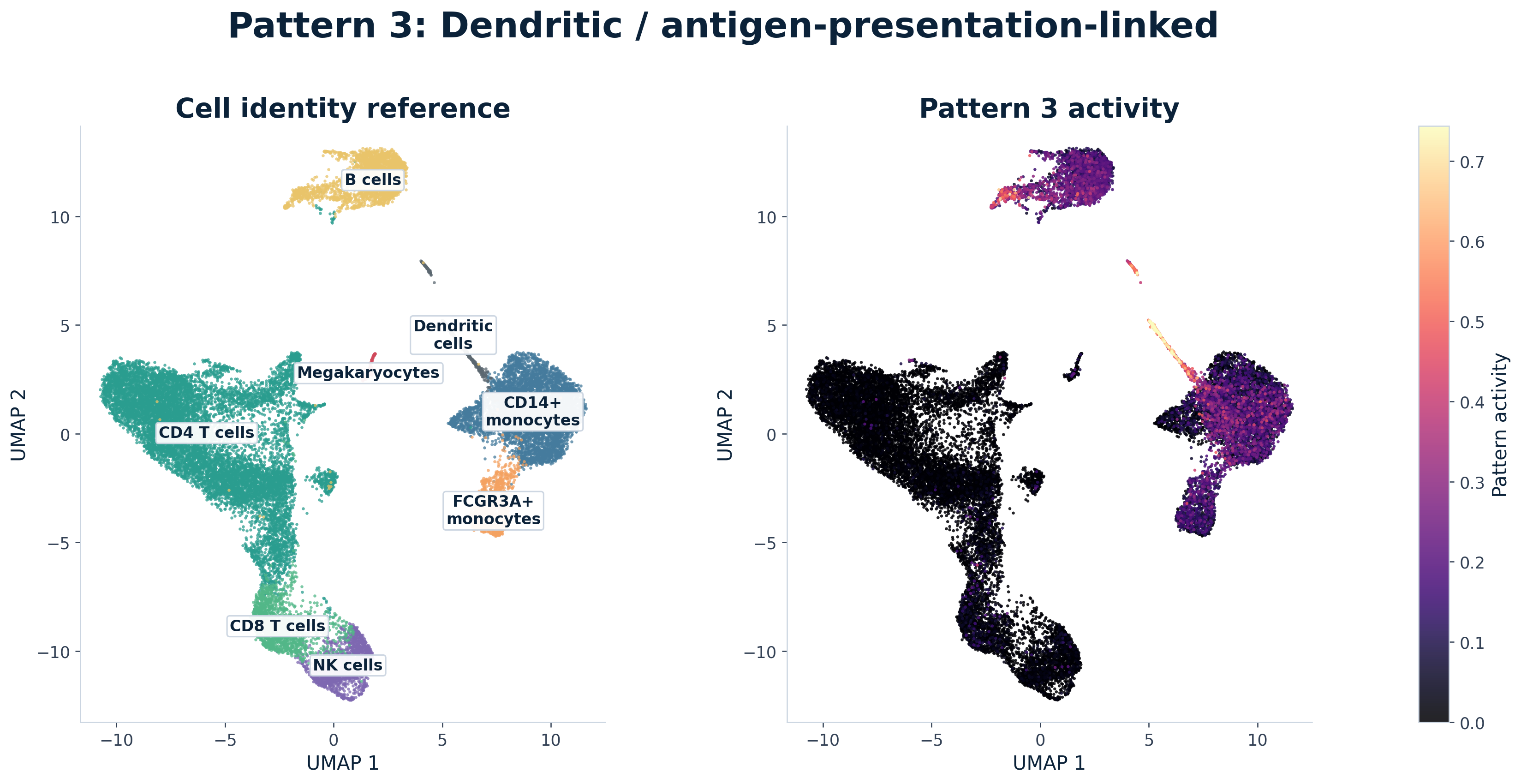 Paired UMAP comparison for Pattern 3, labeled as a dendritic and antigen-presentation-linked pattern. The left panel shows annotated PBMC identity neighborhoods. The right panel recolors the same cells by Pattern 3 activity.
