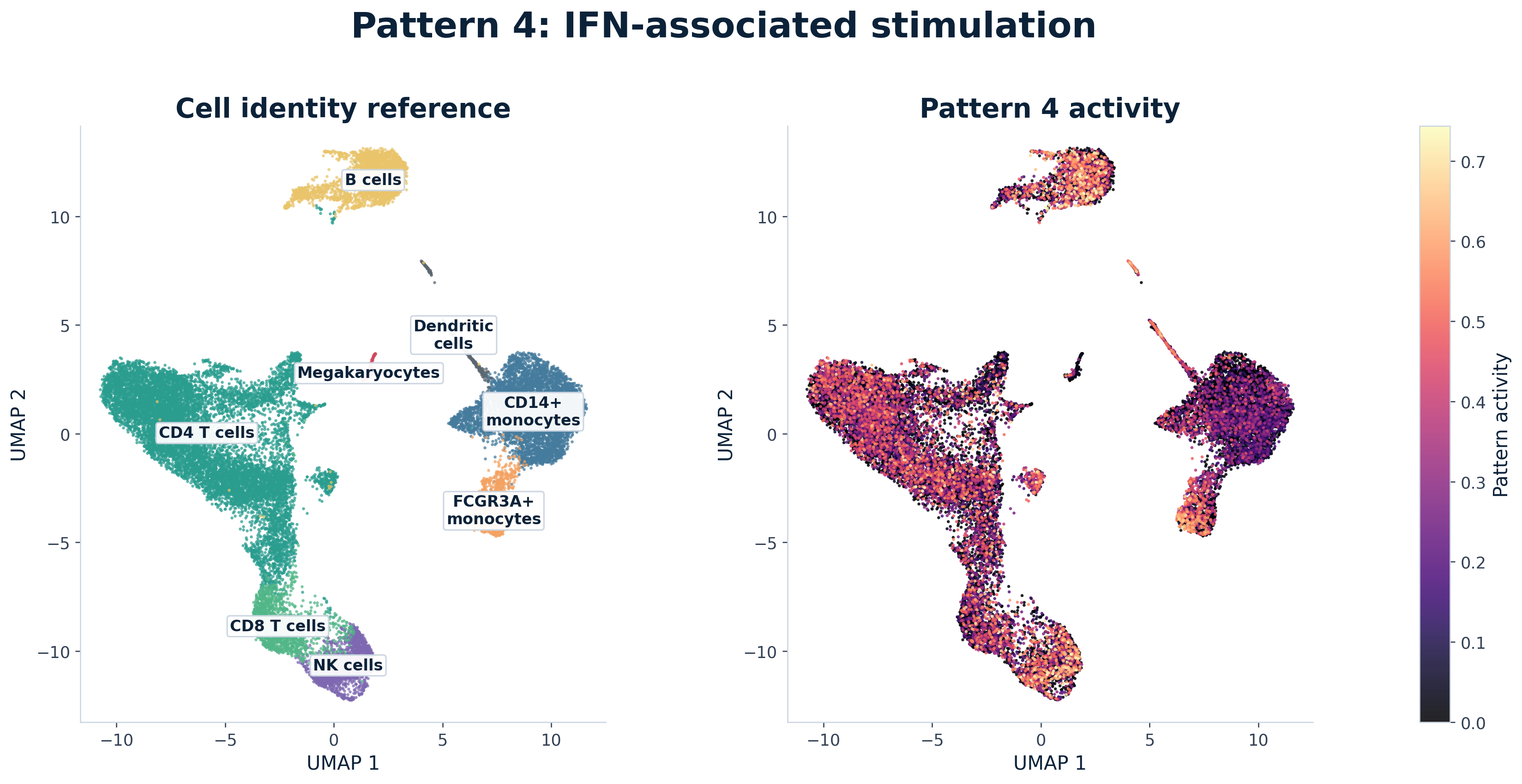 Paired UMAP comparison for Pattern 4, labeled as the IFN-associated stimulation pattern in the selected R run. The left panel shows annotated PBMC identity neighborhoods. The right panel recolors the same cells by Pattern 4 activity.