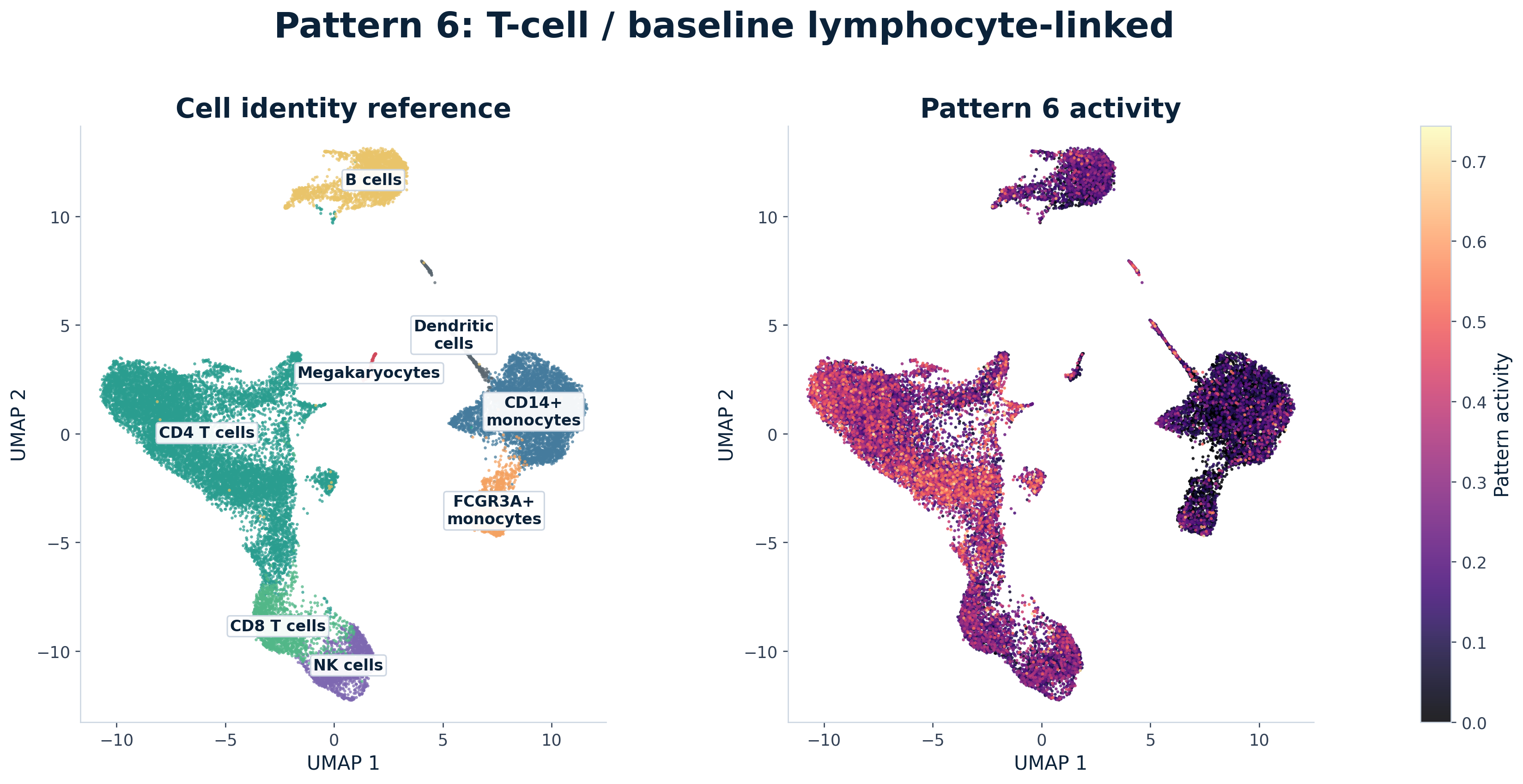 Paired UMAP comparison for Pattern 6, labeled as a T-cell and baseline lymphocyte-linked pattern. The left panel shows annotated PBMC identity neighborhoods. The right panel recolors the same cells by Pattern 6 activity.