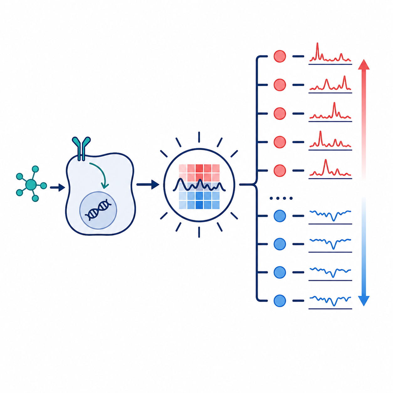 Icon showing IFN signaling into a cell, a highlighted pattern module, and a ranked red and blue gene list for up- and down-direction genes.