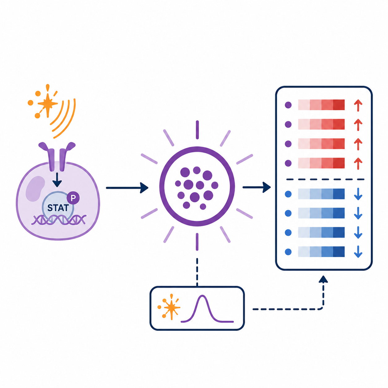 Icon showing an IFN-associated pattern branching into multiple PBMC cell-type rows with distinct mini expression profiles.